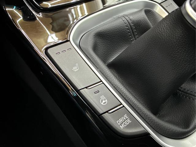 Hyundai / i30 / Blau / / / SHZ TEILLEDER SMART KEY NAVI