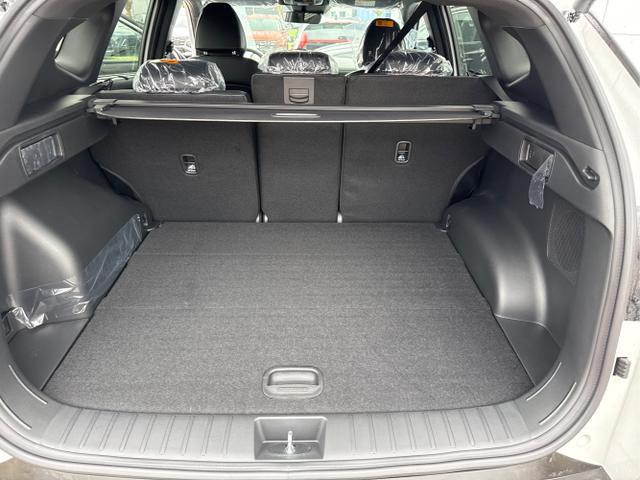 Hyundai / TUCSON FACELIFT / Weiß / / / 