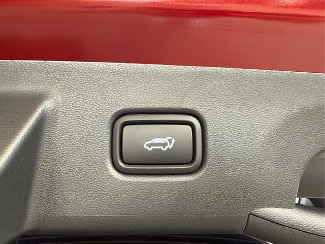 Hyundai / TUCSON FACELIFT / Rot / / / NAVI 360 KRELL NAVI MATRIX