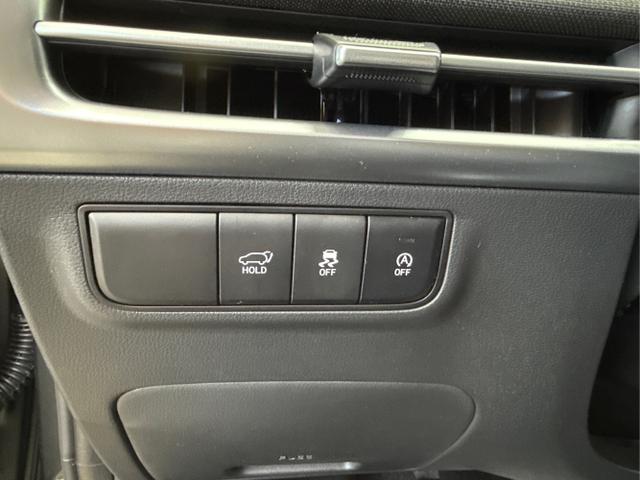 Hyundai / TUCSON FACELIFT / Grün / / / 20th Anniversary KRELL SHZ v+h 360Kamera HUD