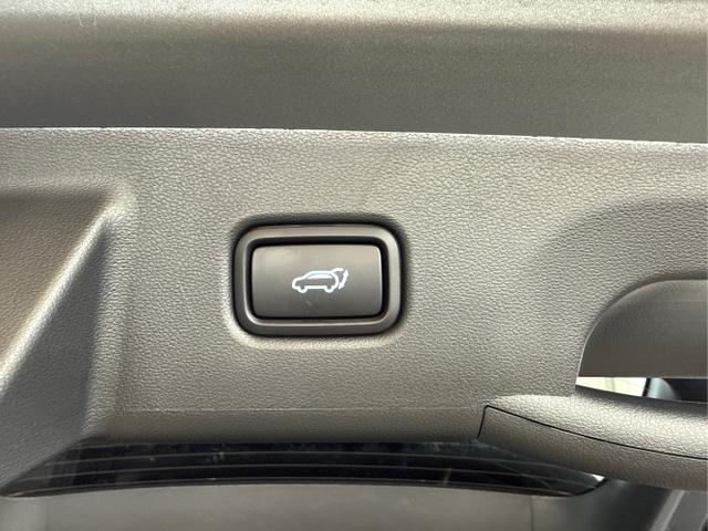 Hyundai / TUCSON FACELIFT / Grün / / / 20th Anniversary KRELL SHZ v+h 360Kamera HUD