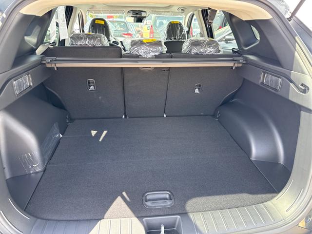 Hyundai / TUCSON FACELIFT / Weiß / / / 