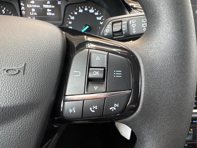 Ford / Fiesta / Blau / / / RADIO KLIMA SHZ PDC
