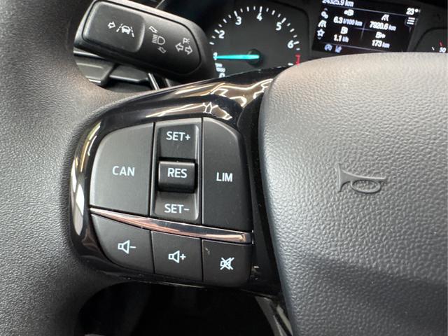 Ford / Fiesta / Blau / / / RADIO KLIMA SHZ PDC