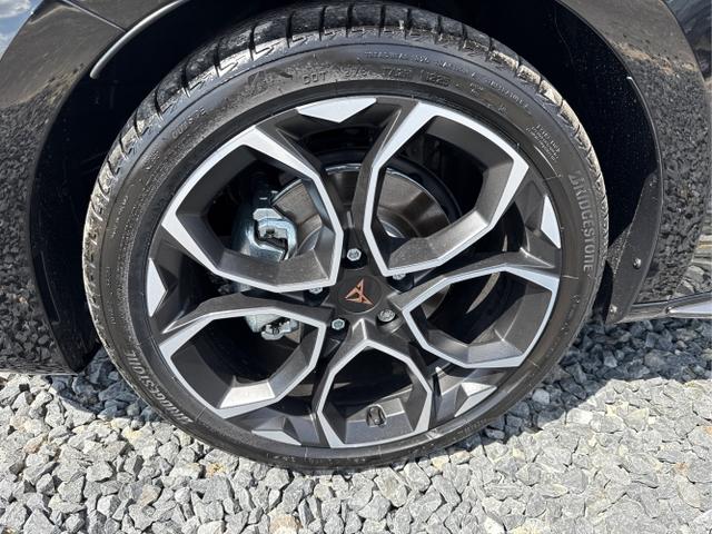 Cupra / Leon / Weiß / / / 