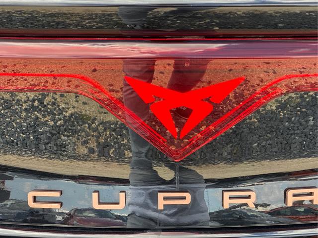 Cupra / Leon / Weiß / / / 