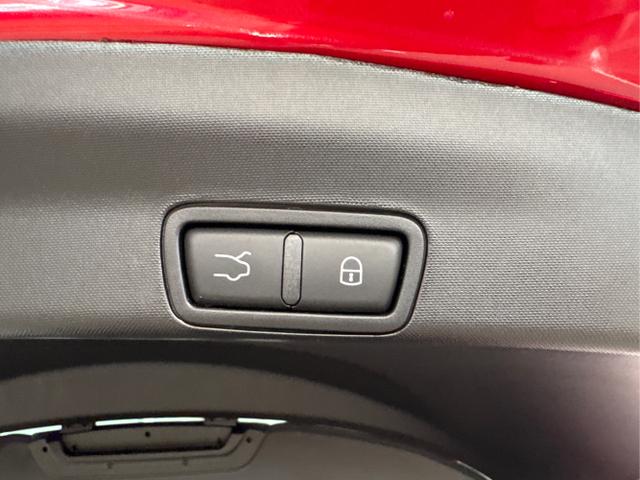 Alfa Romeo / Stelvio / Rot / / / 