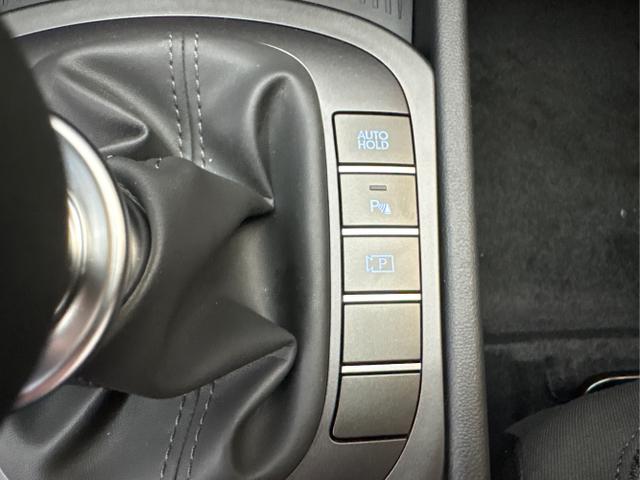 Hyundai / KONA / Schwarz / / / NAVI KLIMAAUTOMATIK PDC v+h RFK