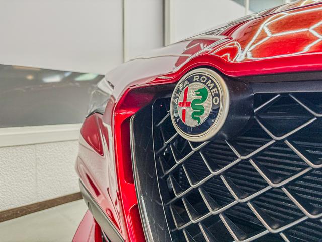 Alfa Romeo Stelvio - QUADRIFOGLIO VERDE AKRAPOVIC Technologie-Paket