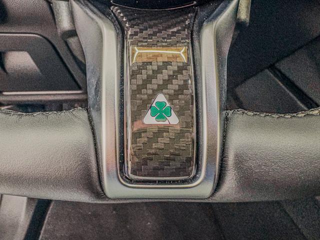 Alfa Romeo Stelvio QUADRIFOGLIO VERDE AKRAPOVIC Technologie-Paket 