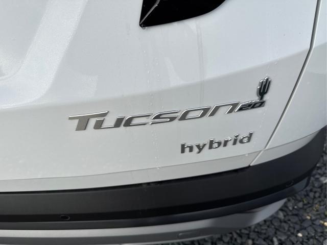 Hyundai / TUCSON / Weiß / / / 20th Anniversary AUT 360 ACC KRELL NAVI PDC RFK SHZ HUD