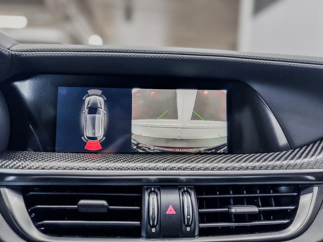 Alfa Romeo Stelvio QUADRIFOGLIO VERDE AKRAPOVIC Technologie-Paket 