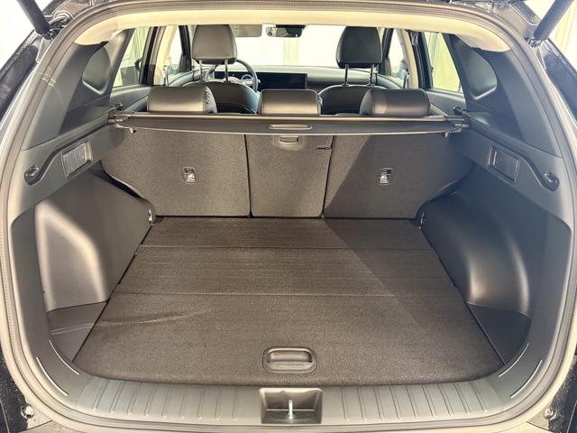 Hyundai TUCSON Premium DCT EL.HECKKLAPPE E-SHIFT RFK SHZ v+h 