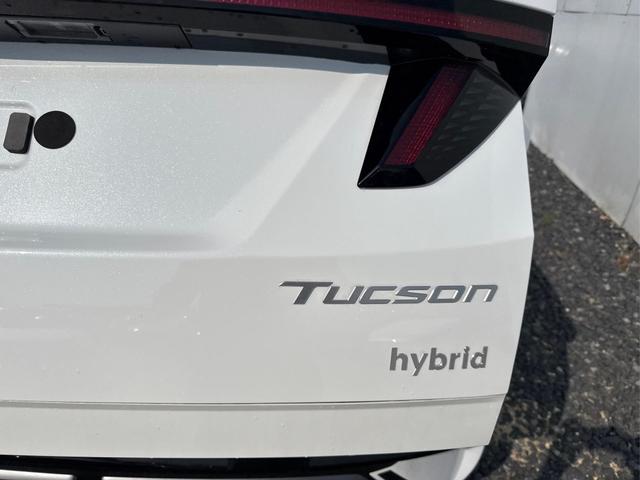 Hyundai TUCSON Impression N-LINE AUT 4WD ACC PANO ECS 360 KRELL MATRIX 