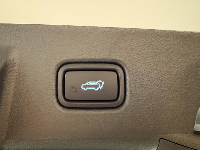 Hyundai TUCSON Premium AUT N-LINE PANO EL.HECKKLAPPE SHZ v+h 