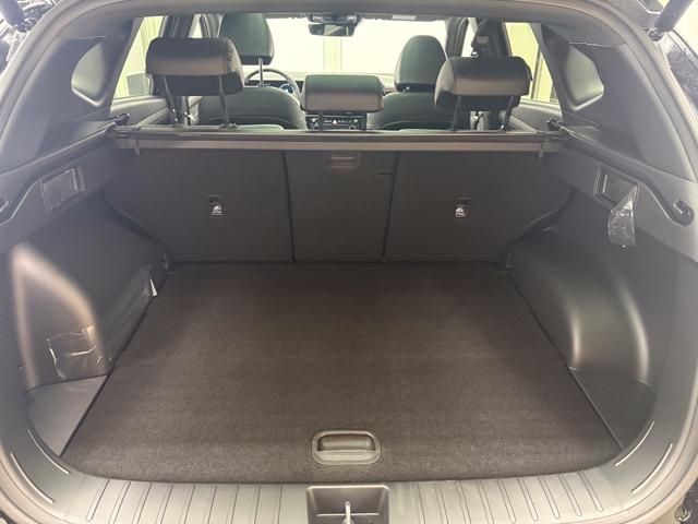 Hyundai TUCSON AUT N-LINE PANO EL.HECKKLAPPE SHZ v+h 