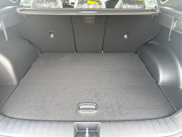 Hyundai / TUCSON / Blau /  /  / DCT EL.HECKKLAPPE E-SHIFT RFK SHZ v+h