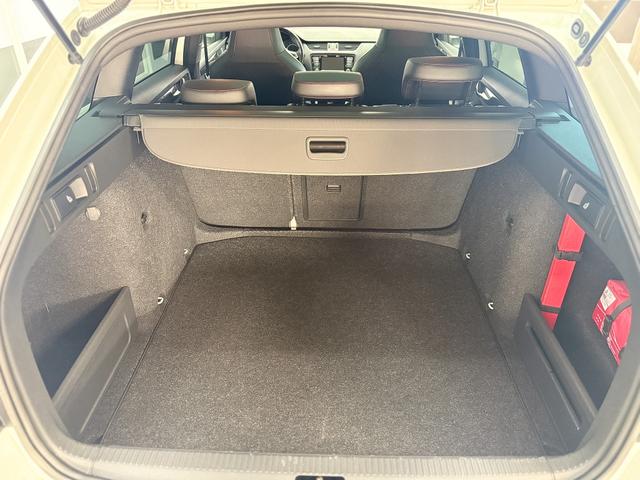 Skoda Octavia RS Combi 2.0 TDI DSG NAVI PANO SHZ XENON 