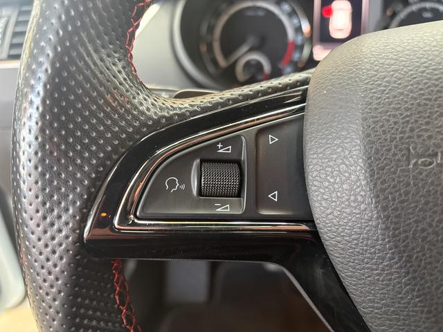 Skoda Octavia RS Combi 2.0 TDI DSG NAVI PANO SHZ XENON 