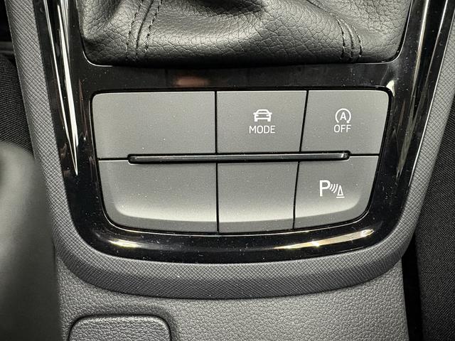 Skoda Kamiq SELECTION DSG KESSY RFK LED NSW KLIMAAUTOMATIK PDC v+h 