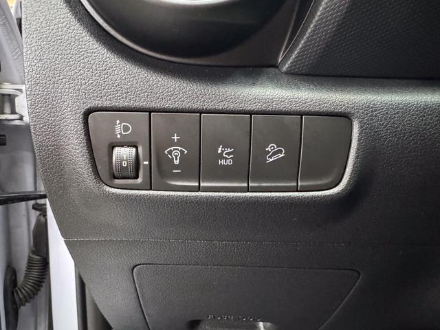Hyundai KONA N 2.0 T-GDI Performance DCT PPF-FOLIE NAVI ACC SHZ KRELL SMART KEY 
