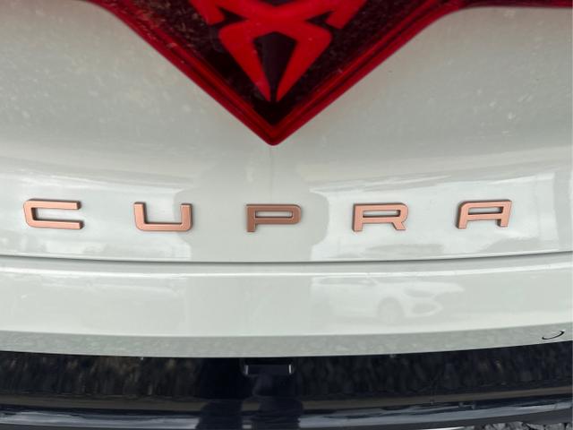 Cupra / Leon / Grau / / / DSG NAVI ACC SHZ KEYLESS 