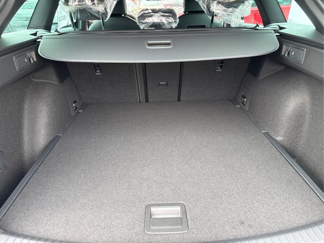 Cupra / Leon / Grau / / / DSG NAVI ACC SHZ KEYLESS