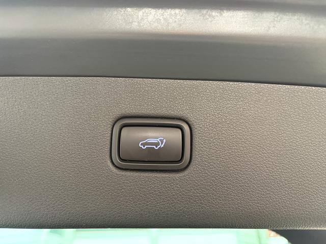 Hyundai TUCSON PREMIUM BLUE NAVI/SHZ/PANO/ RFK /EL.HECKKLAPPE 