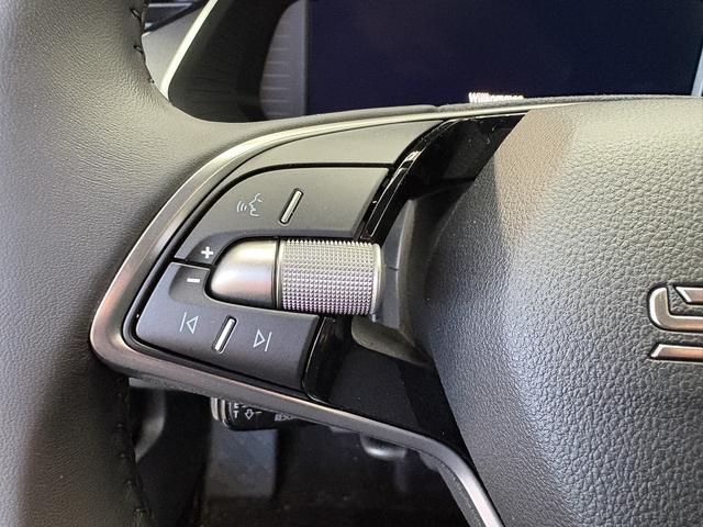 Skoda Octavia Combi Selection ACC NAVI BSD SHZ RFK 