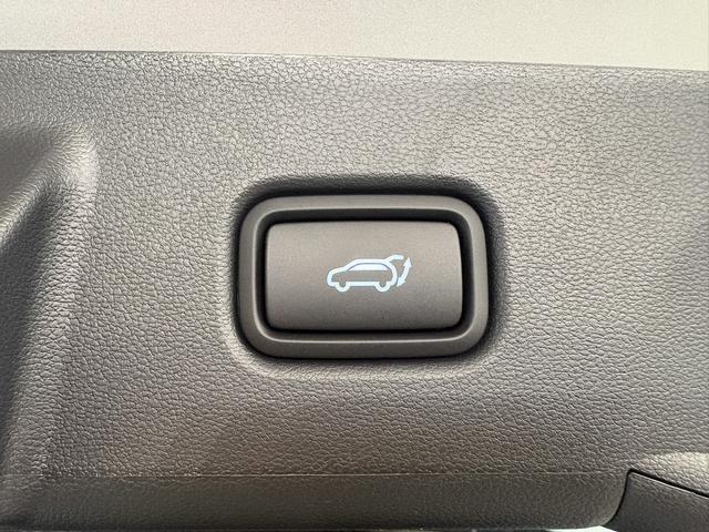 Hyundai TUCSON PREMIUM DCT N-LINE PANO ACC NAVI SMART KEY 19ALU 
