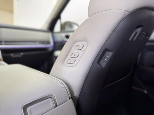 Hyundai SANTA FE NEU IMPRESSION VOLL PANO 