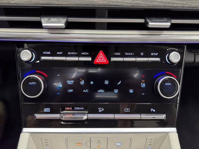 Hyundai SANTA FE NEU IMPRESSION VOLL PANO 