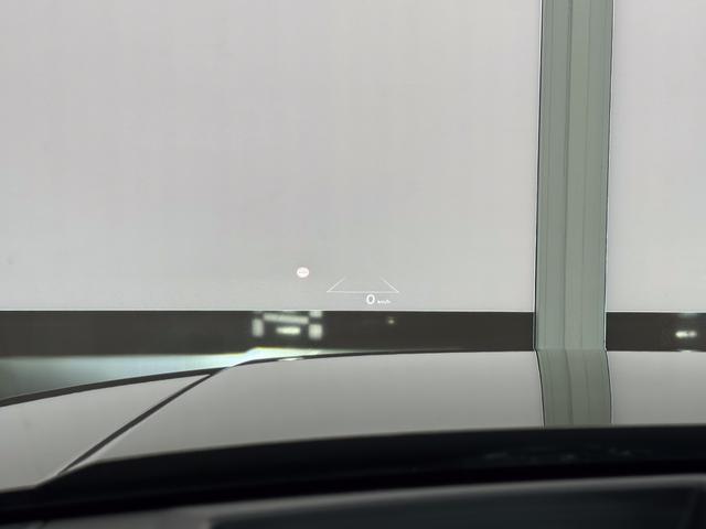 Hyundai SANTA FE NEU IMPRESSION VOLL PANO 