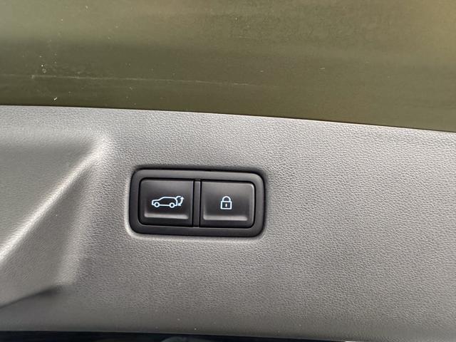 Hyundai SANTA FE NEU IMPRESSION VOLL PANO 