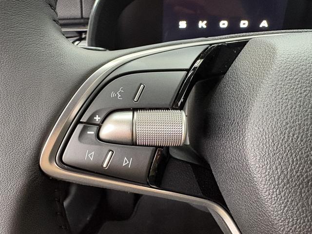 Skoda Kamiq Easy TEMPOMAT NSW PDC ALU 