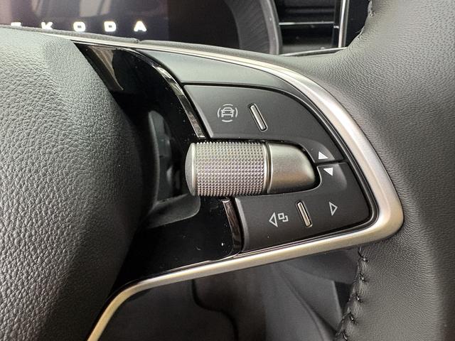 Skoda Kamiq Easy TEMPOMAT NSW PDC ALU 