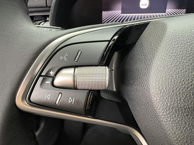 Skoda Kamiq Easy DSG AHK TEMPOMAT SHZ ALU 