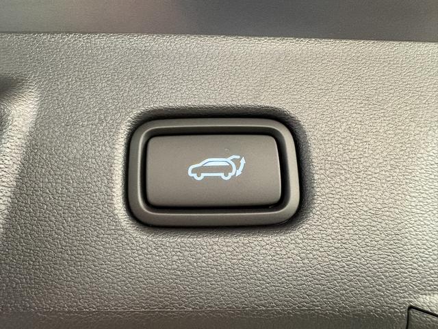 Hyundai TUCSON Premium DCT N-LINE PANO ACC NAVI SMART KEY 19ALU 