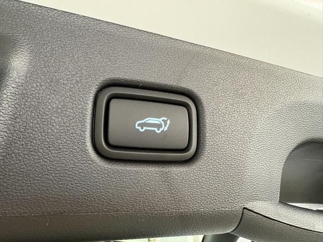 Hyundai TUCSON PREMIUM DCT N-LINE ACC NAVI SMART KEY 19ALU 