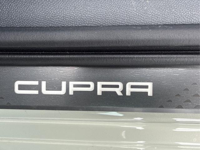 Cupra / Leon / Grau / / / 