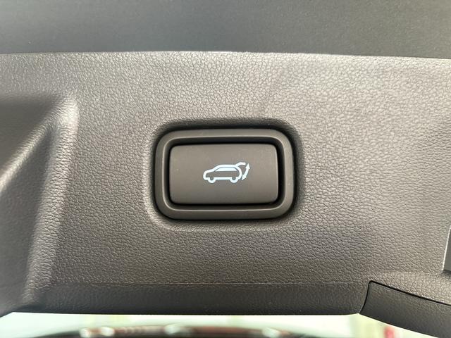 Hyundai TUCSON PREMIUM DCT BLACK LINE ACC 