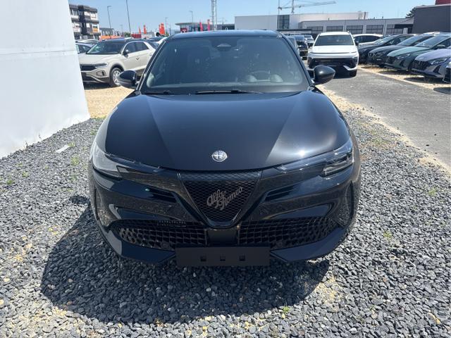 Alfa Romeo / Junior / Grau / / / 