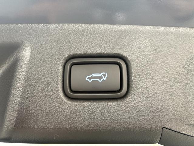 Hyundai TUCSON Premium N-LINE EL.HECKKLAPPE SHZ v+h PDC RFK NAVI 