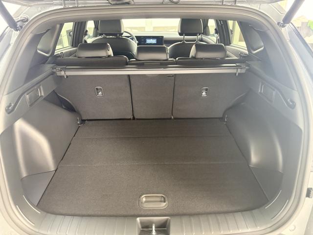 Hyundai TUCSON Premium N-LINE EL.HECKKLAPPE SHZ v+h PDC RFK NAVI 