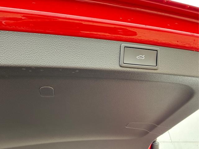 Skoda / Octavia / Grau / / / 