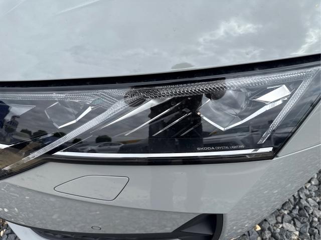 Skoda / Octavia / Grau / / / 