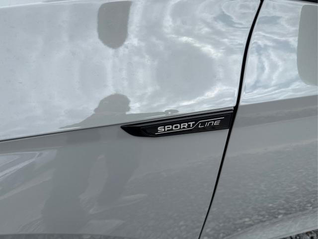 Skoda / Octavia / Grau / / / 