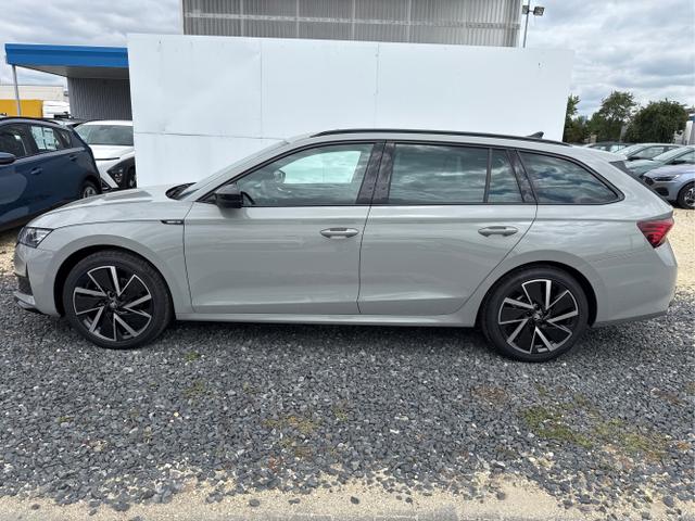 Skoda / Octavia / Grau / / / 