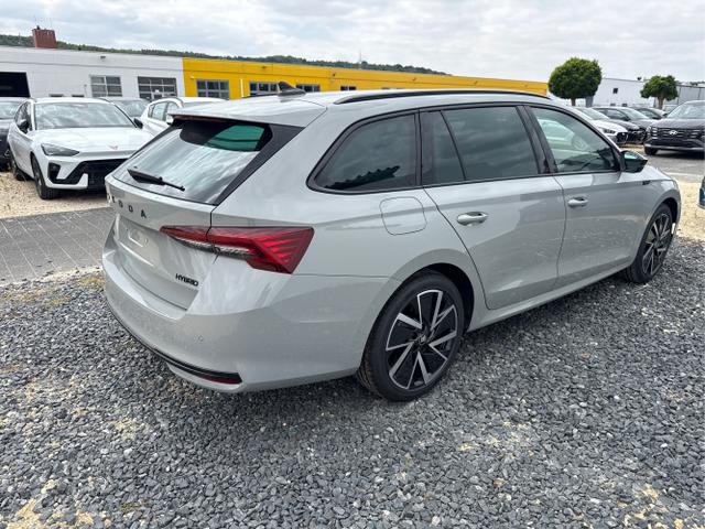Skoda / Octavia / Grau / / / 