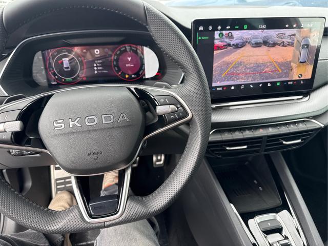 Skoda / Octavia / Grau / / / 